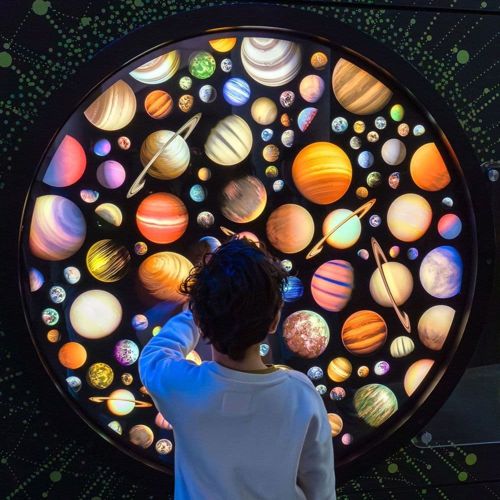 Adobe Express - file (8).jpg