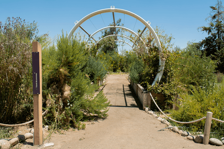 Abierta convocatoria para programa de residencias en investigación científica 2026