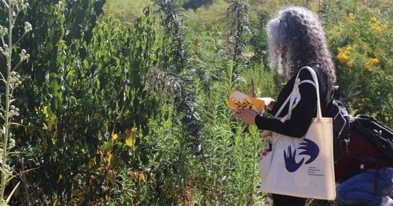 Adobe Express - file (2).jpg